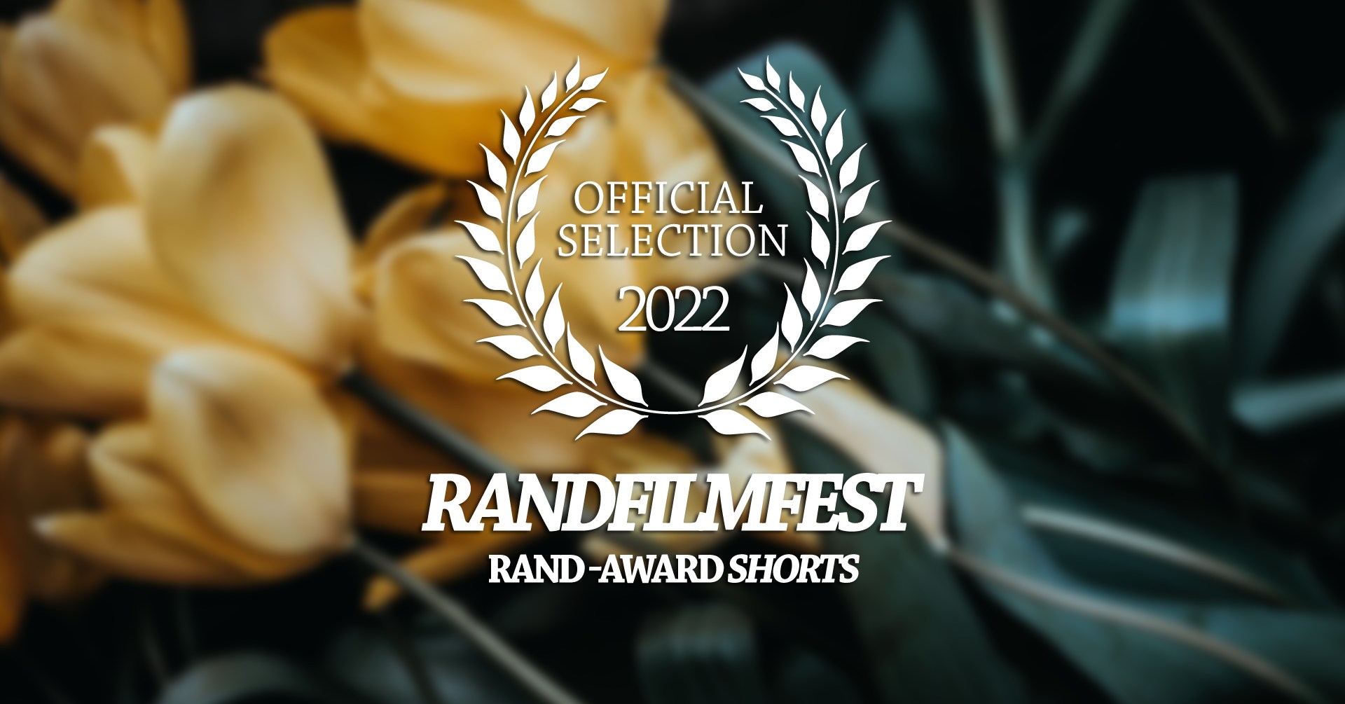 Rand-Award Shorts Nominees: Kurzfilmrolle 2